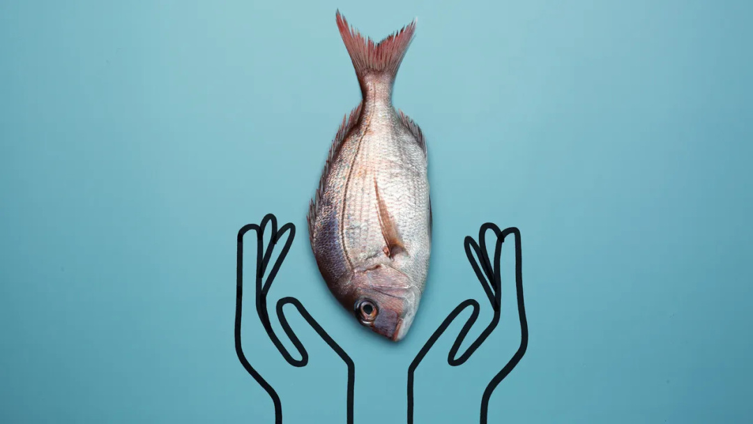 Junya Yamasaki's Mastery of Ike Jime Transforms Seafood in Southern California