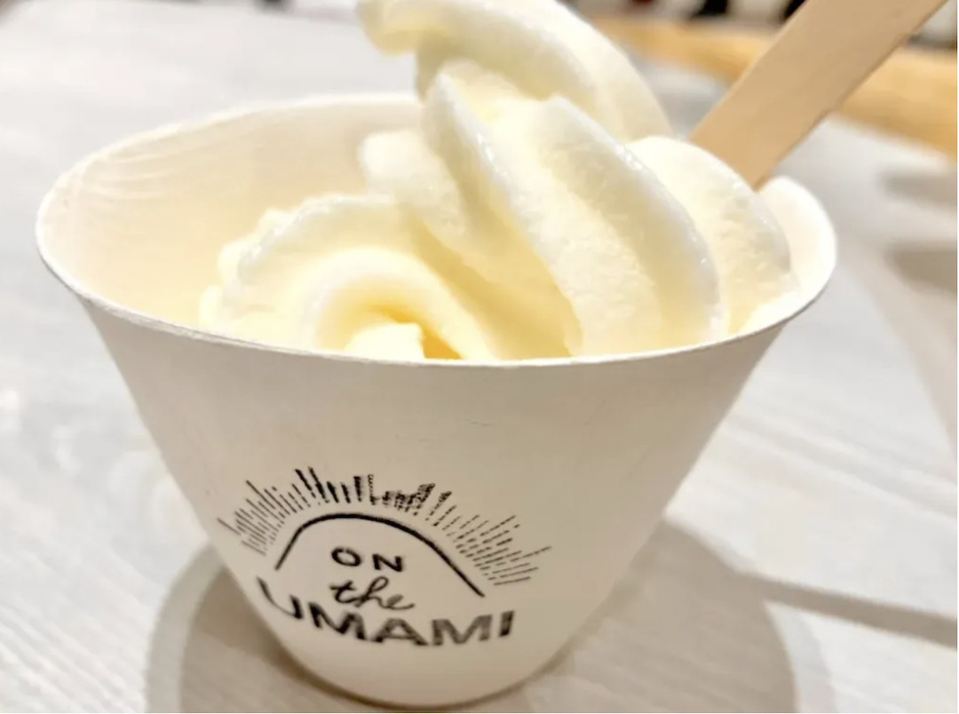 Dashi Ice Cream: A Unique Japanese Treat from Niigata