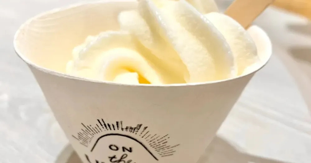Exploring Ice Cream Flavored with Japanese Dashi: A Taste Test