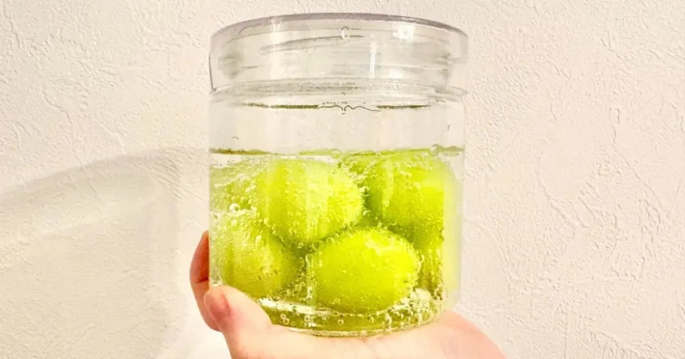 Exploring the Japanese Food Hack: Soaking Shine Muscat Grapes in Carbonated Water