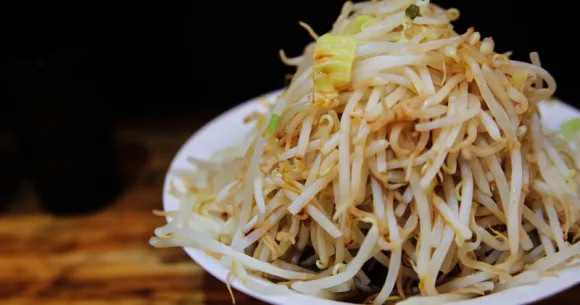 Bean Sprout Shortage Challenges Jiro-Style Ramen Shops in Japan