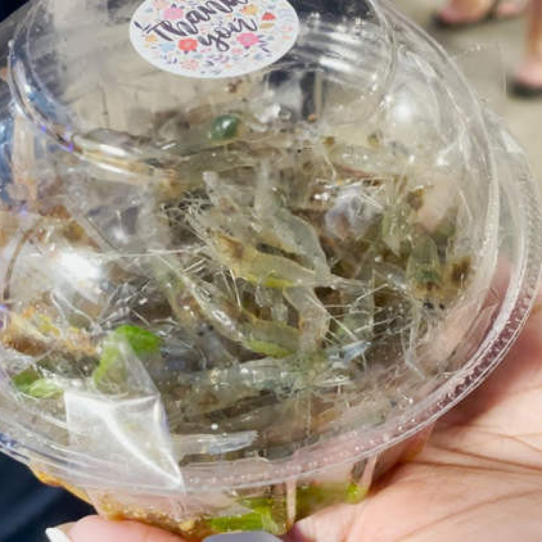 Dancing Shrimp: Thailand's Unique Live Street Food Experience