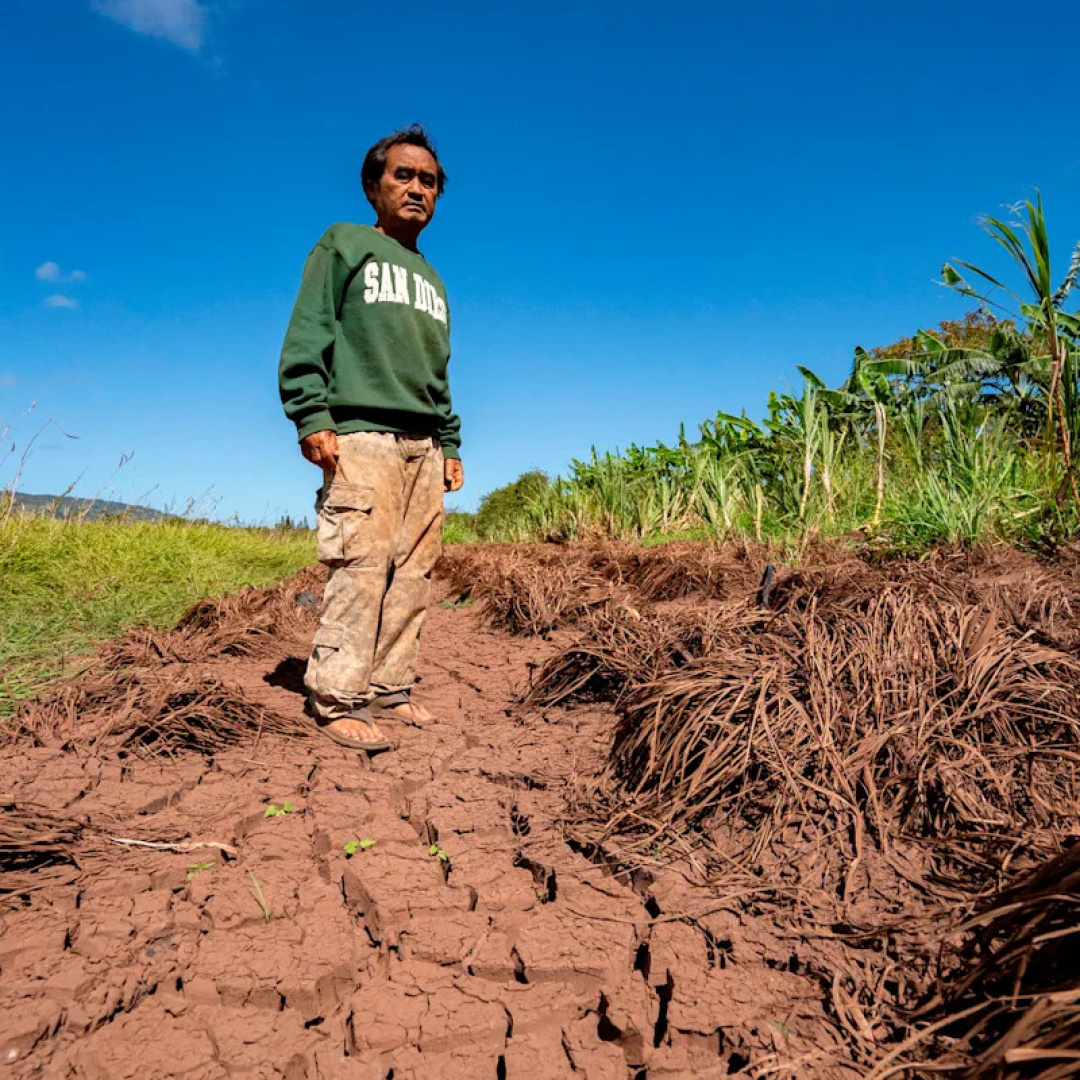 Hawaii Faces Severe Flooding Impacting Farmers and Crop Supplies